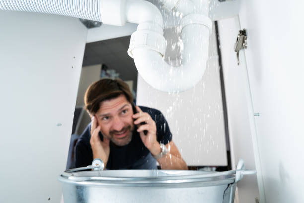 Best Plumbing Inspection Services  in Millvale, PA