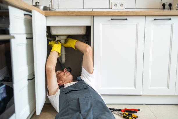 Best Local Plumber Services  in Millvale, PA
