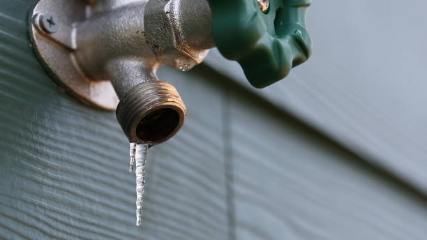 Best Sewer Line Repair  in Millvale, PA